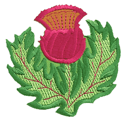 Thistle Patch